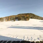 Haus Pramalinis Давос